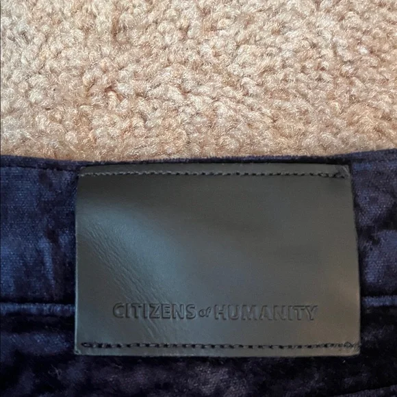 Citizens of Humanity Paloma Velvet Wide Pants - Picture 10 of 15